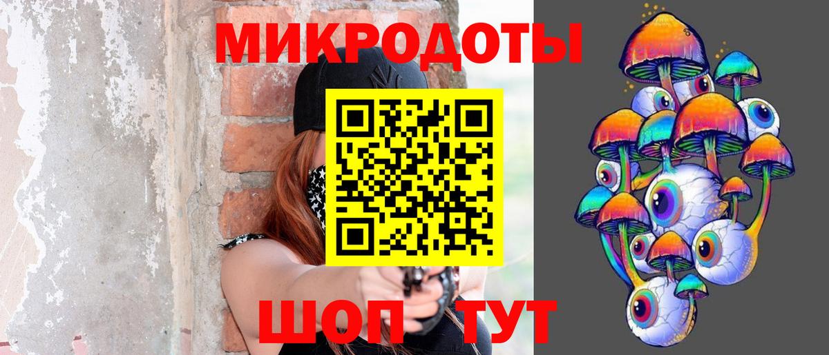 Галлюциногенные грибы Psilocybe Балахна