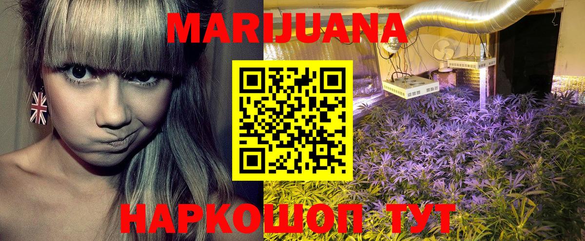 Балахна  Бошки Шишки ГИДРОПОН  Бошки Шишки тримм  Вход с VPN 
